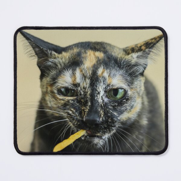 Item preview, Fierce Feline and Her Snack designed and sold by lengsrising.