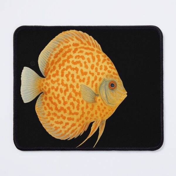 Item preview, Discus Fish Eruption Leopard Japanese Style - Amazon Fish designed and sold by Kabuji Store.