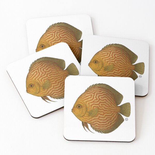Item preview, Discus Fish Japanese Style - Amazon Fish - Yellow designed and sold by Kabuji Store.