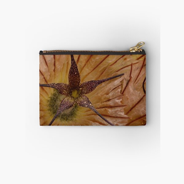 Item preview, Scabiosa Dried Flower Macro – Intricate Veins and Organic Symmetry for Natural Decor designed and sold by Goiko7Margarita.