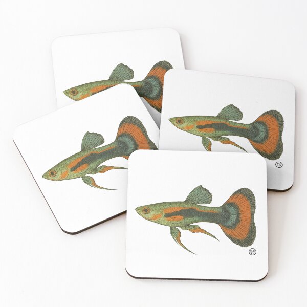 Item preview, Guppy Endler - Japanese Style designed and sold by Kabuji Store.