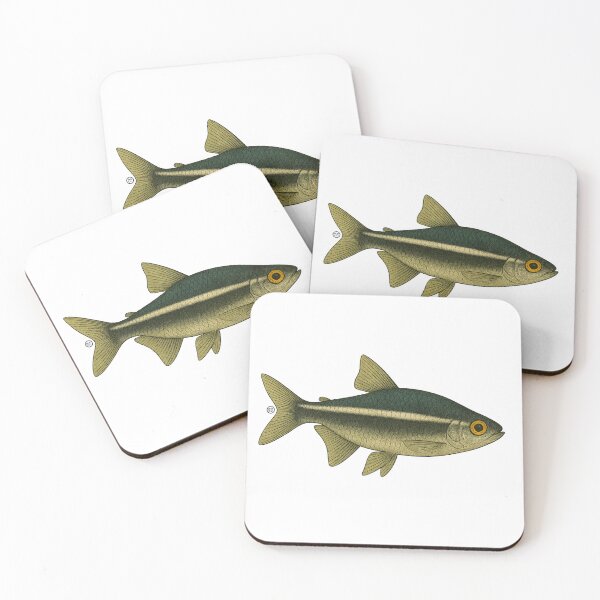 Item preview, Black Neon Tetra Fish Japanese Style - Amazon Fish - Cardinal Tetra designed and sold by Kabuji Store.