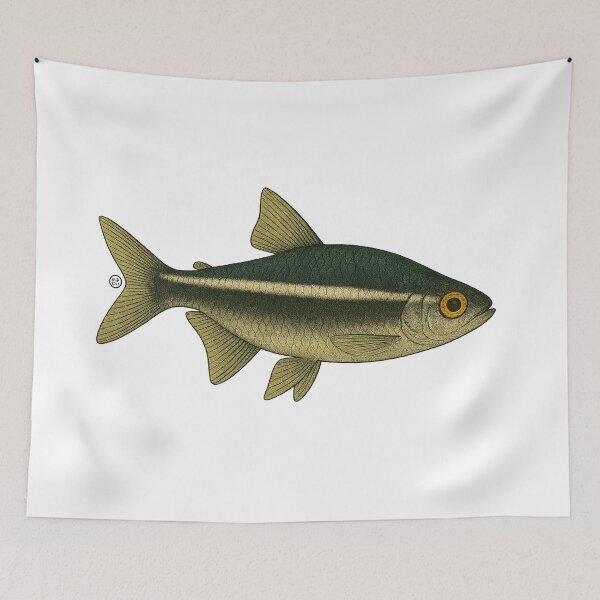 Item preview, Black Neon Tetra Fish Japanese Style - Amazon Fish - Cardinal Tetra designed and sold by Kabuji Store.