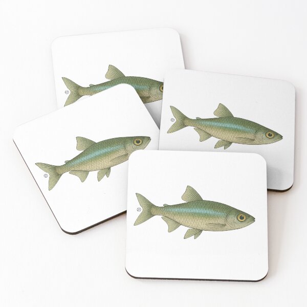 Item preview, Green Neon Tetra Fish Japanese Style - Amazon Fish - Cardinal Tetra designed and sold by Kabuji Store.