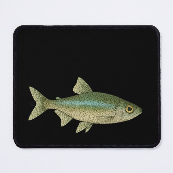 Item preview, Green Neon Tetra Fish Japanese Style - Amazon Fish - Cardinal Tetra designed and sold by Kabuji Store.