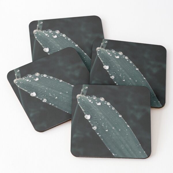 Item preview, Raindrops on Leaf Closeup designed and sold by KarenVarr.