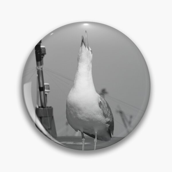 Item preview, Howling seagull in the boat on the beach designed and sold by RenataPhoto.
