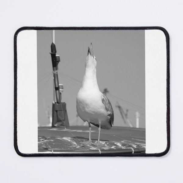 Item preview, Howling seagull in the boat on the beach designed and sold by RenataPhoto.