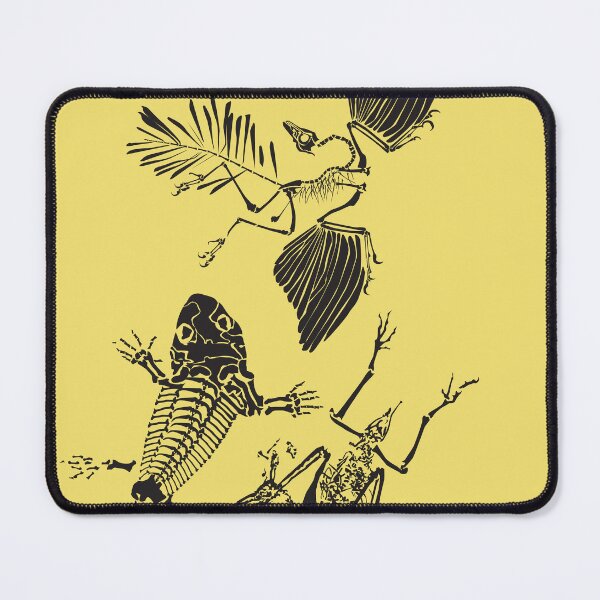 Item preview, Feathered Fossilised Dinosaurs Salamander designed and sold by ASKEW GRAPHICS.