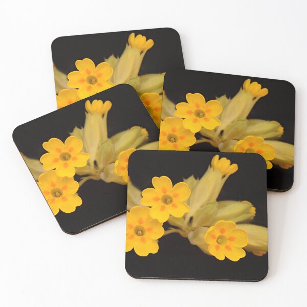 Item preview, Cowslip Macro Photography – Golden Yellow Primula veris Flowers on Black designed and sold by Goiko7Margarita.
