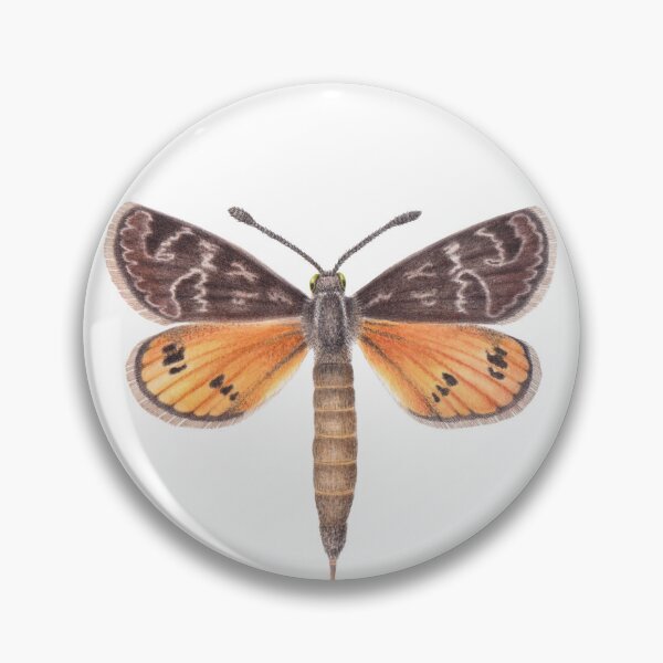 Item preview, Golden Sun Moth designed and sold by Cheryl Hodges.