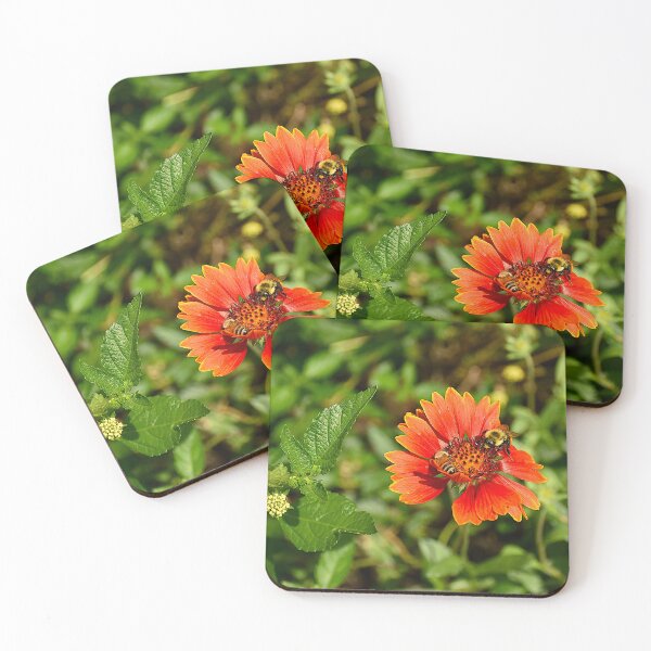 Item preview, Gaillardia pulchella And Bees designed and sold by MercerImages.