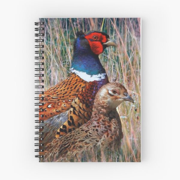 Item preview, Two pheasants. designed and sold by di-Vera-Rosati.
