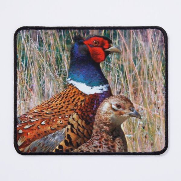 Item preview, Two pheasants. designed and sold by di-Vera-Rosati.