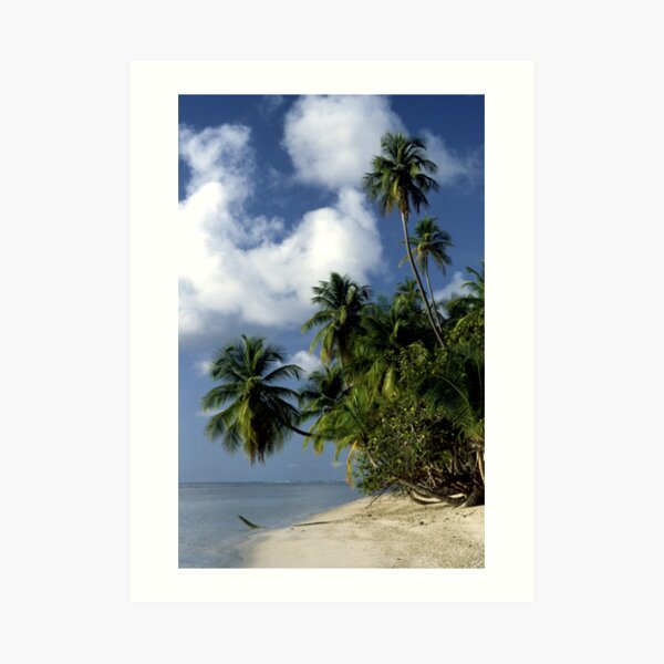 Tobago Art Print