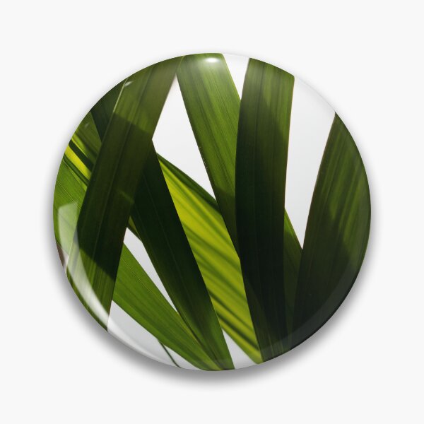 Item preview, Green houseplant in the light designed and sold by RenataPhoto.
