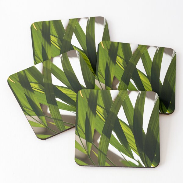 Item preview, Green houseplant in the light designed and sold by RenataPhoto.