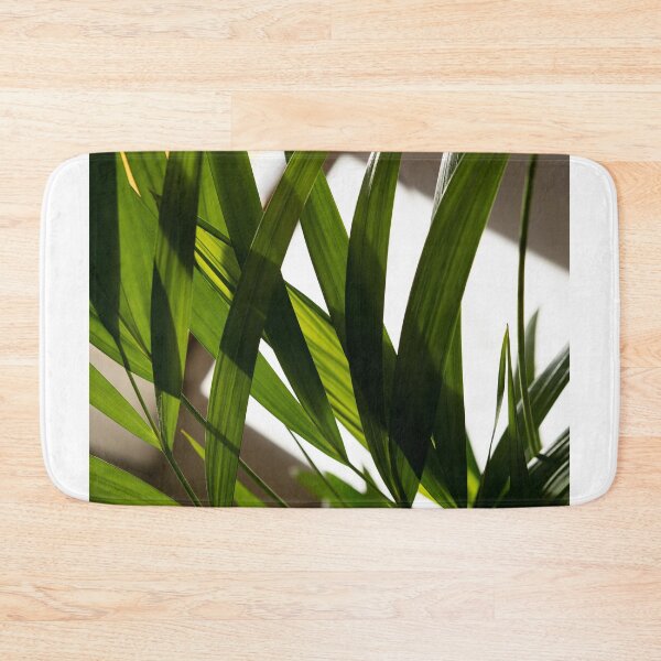Item preview, Green houseplant in the light designed and sold by RenataPhoto.