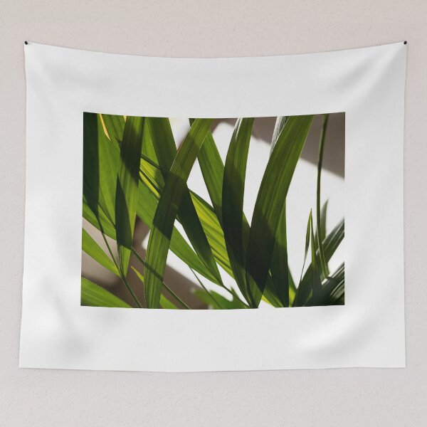 Item preview, Green houseplant in the light designed and sold by RenataPhoto.