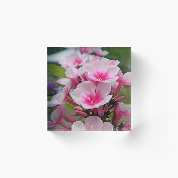 exuberance Acrylic Block