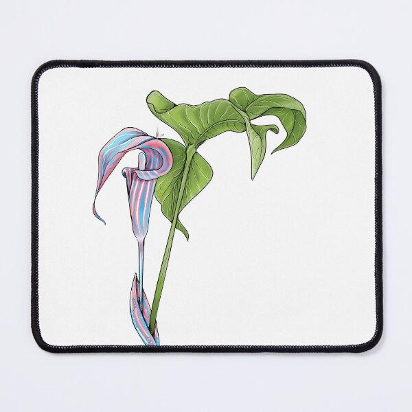 Item preview, Transgender pride designed and sold by Mycotae.