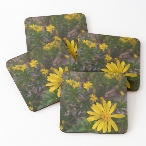 Item preview, the daisy designed and sold by Fotosminimas.