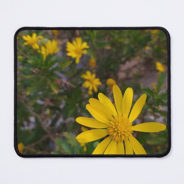 Item preview, the daisy designed and sold by Fotosminimas.