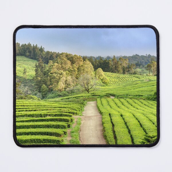 Item preview, Tea plantation 01 designed and sold by Weston Westmoreland.