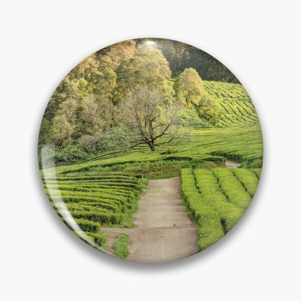 Item preview, Tea plantation 02 designed and sold by Weston  Westmoreland.