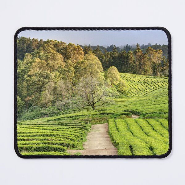 Item preview, Tea plantation 02 designed and sold by Weston Westmoreland.