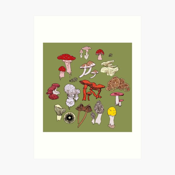 Mushroom Aesthetic Art Prints Redbubble