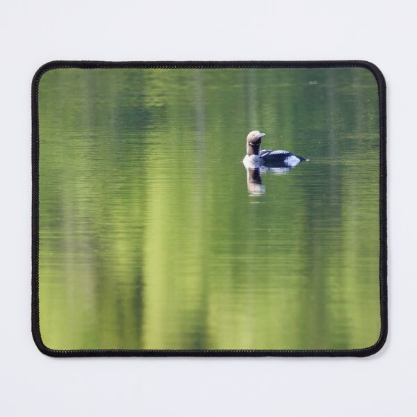 Item preview, Minimal and green. Black-throated loon designed and sold by Jouko Lehto Photography.