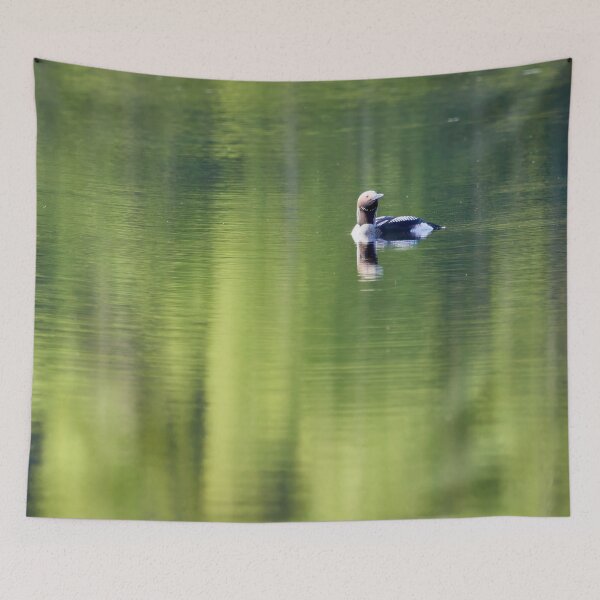 Item preview, Minimal and green. Black-throated loon designed and sold by Jouko Lehto Photography.