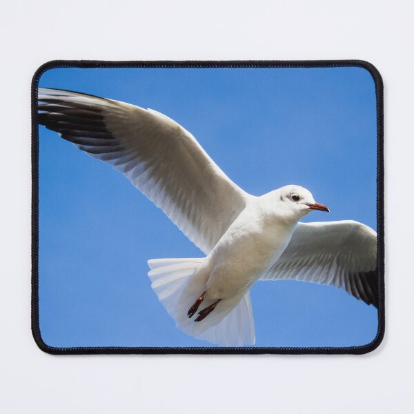 Item preview, Seagull Wings Embrace the Sky - by heidiannemorris © designed and sold by FOLK ART FUSION by heidiannemorris.