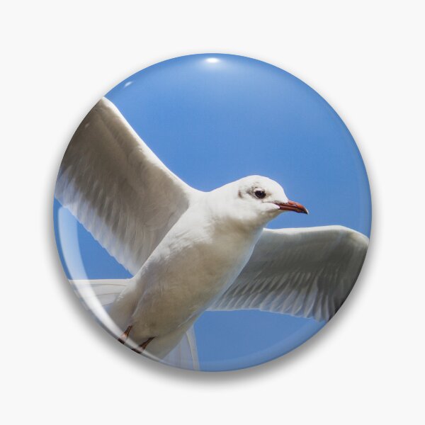 Item preview, Seagull Wings Embrace the Sky - by heidiannemorris © designed and sold by FOLK ART FUSION by heidiannemorris.