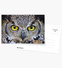 I'm watching you Postcards