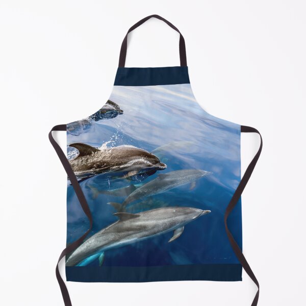 Item preview, Dolphin Vanguard 01 designed and sold by Weston Westmoreland.