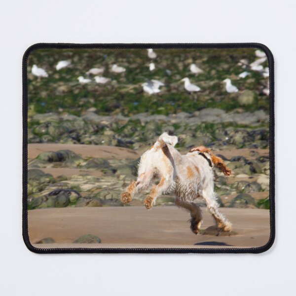 Item preview, Playful Spinone Dog Chasing Seagulls by heidiannemorris © designed and sold by FOLK ART FUSION by heidiannemorris.