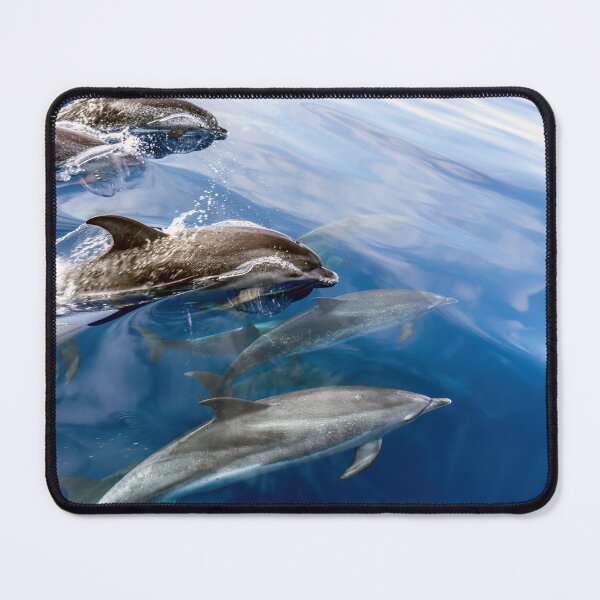 Item preview, Dolphin Vanguard 02 designed and sold by Weston  Westmoreland.