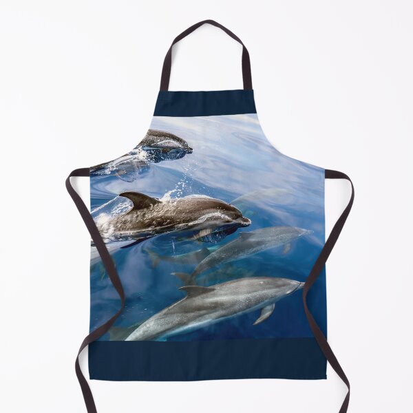 Item preview, Dolphin Vanguard 02 designed and sold by Weston Westmoreland.