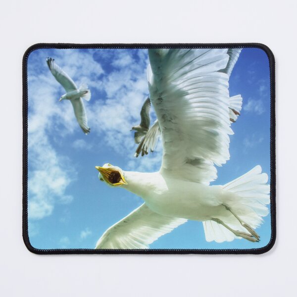 Item preview, Starving Brighton Gulls by heidiannemorris © designed and sold by FOLK ART FUSION by heidiannemorris.