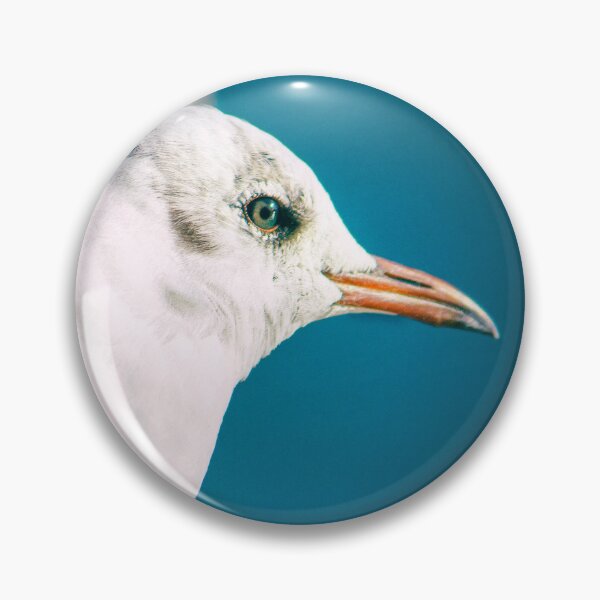 Item preview, Juvenile Black-headed Gull Serene Portrait by heidiannemorris © designed and sold by FOLK ART FUSION by heidiannemorris.