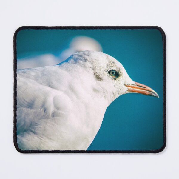 Item preview, Juvenile Black-headed Gull Serene Portrait by heidiannemorris © designed and sold by FOLK ART FUSION by heidiannemorris.
