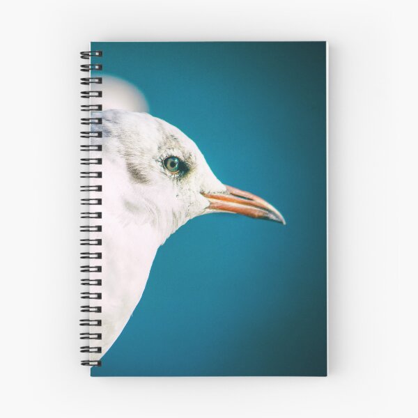 Item preview, Juvenile Black-headed Gull Serene Portrait by heidiannemorris © designed and sold by FOLK ART FUSION.