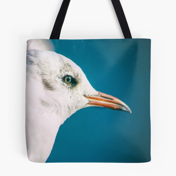 Item preview, Juvenile Black-headed Gull Serene Portrait by heidiannemorris © designed and sold by FOLK ART FUSION by heidiannemorris.