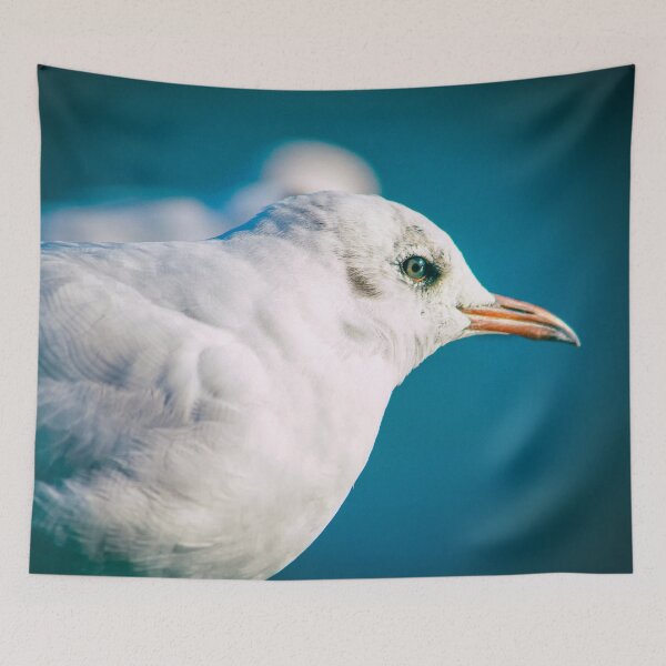 Item preview, Juvenile Black-headed Gull Serene Portrait by heidiannemorris © designed and sold by FOLK ART FUSION by heidiannemorris.