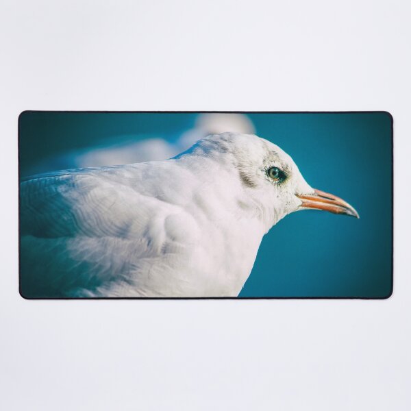 Item preview, Juvenile Black-headed Gull Serene Portrait by heidiannemorris © designed and sold by FOLK ART FUSION by heidiannemorris.