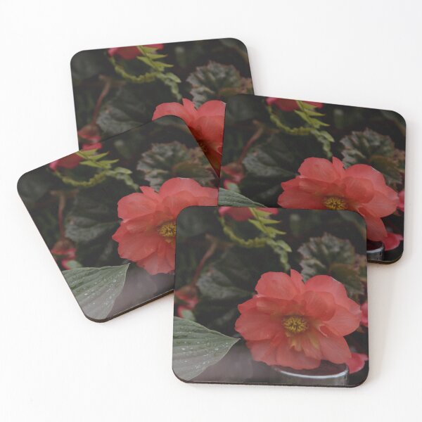 Item preview, Beautiful pink flower designed and sold by leah-b-photo.