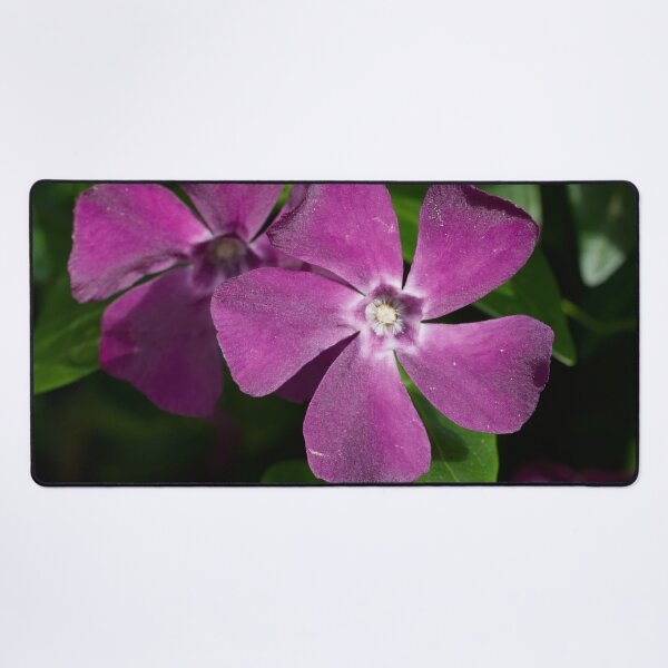 Item preview, Deep purple. Lesser periwinkle designed and sold by Jouko Lehto Photography.