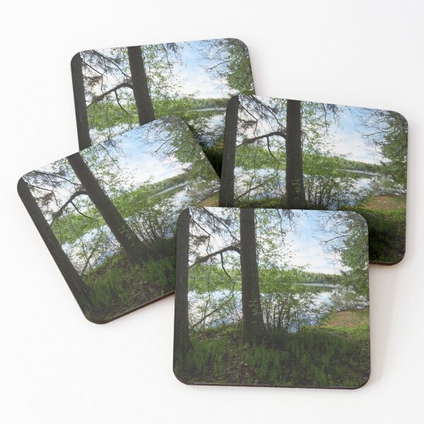 Item preview, Trees by the lake. Taulajarvi 2025 designed and sold by Jouko Lehto Photography.
